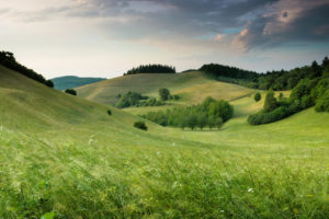 Test Post 4